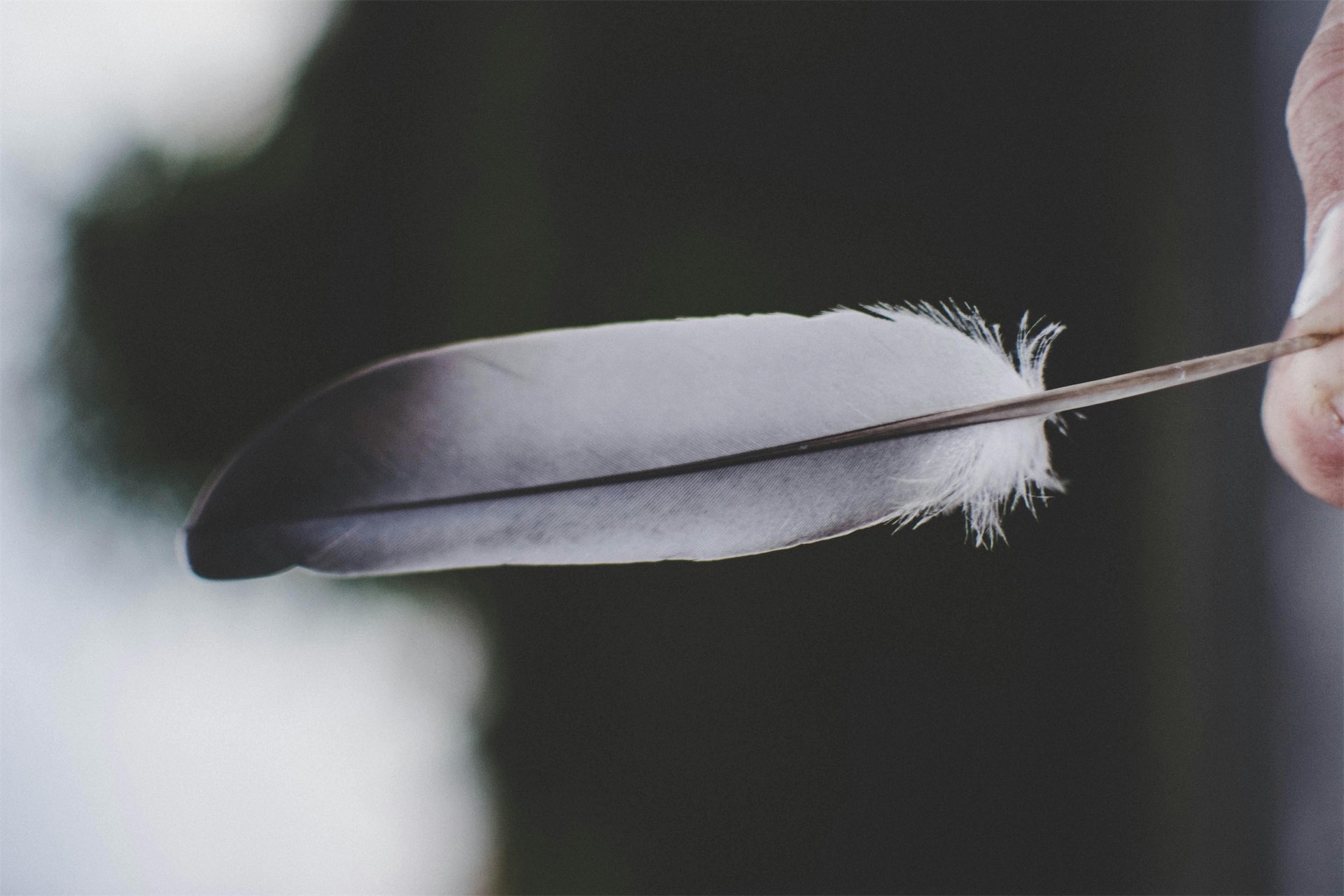 Laughs, Squirming, And Limits: Dating With A Tickling Kink